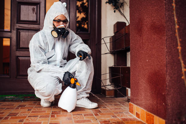 Reliable Wasp Removal contractor in Kimberly, AL by Show Me Pest Control